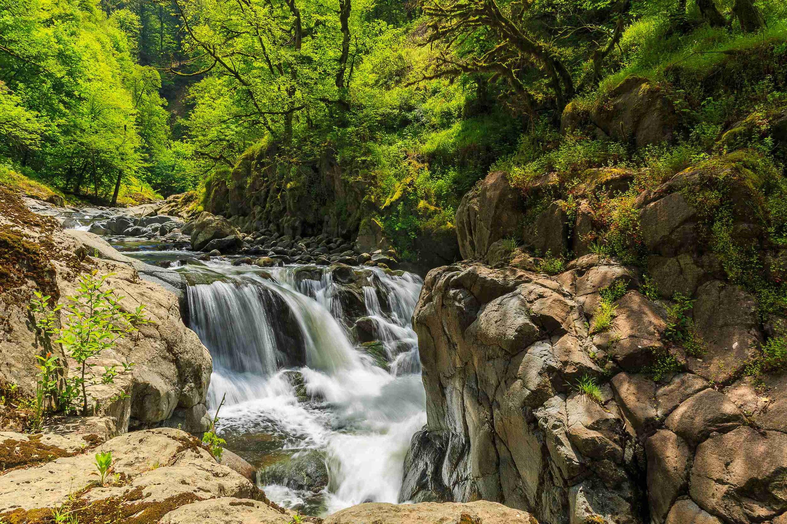 Hirkan National Park, Lankaran, Azerbaijan