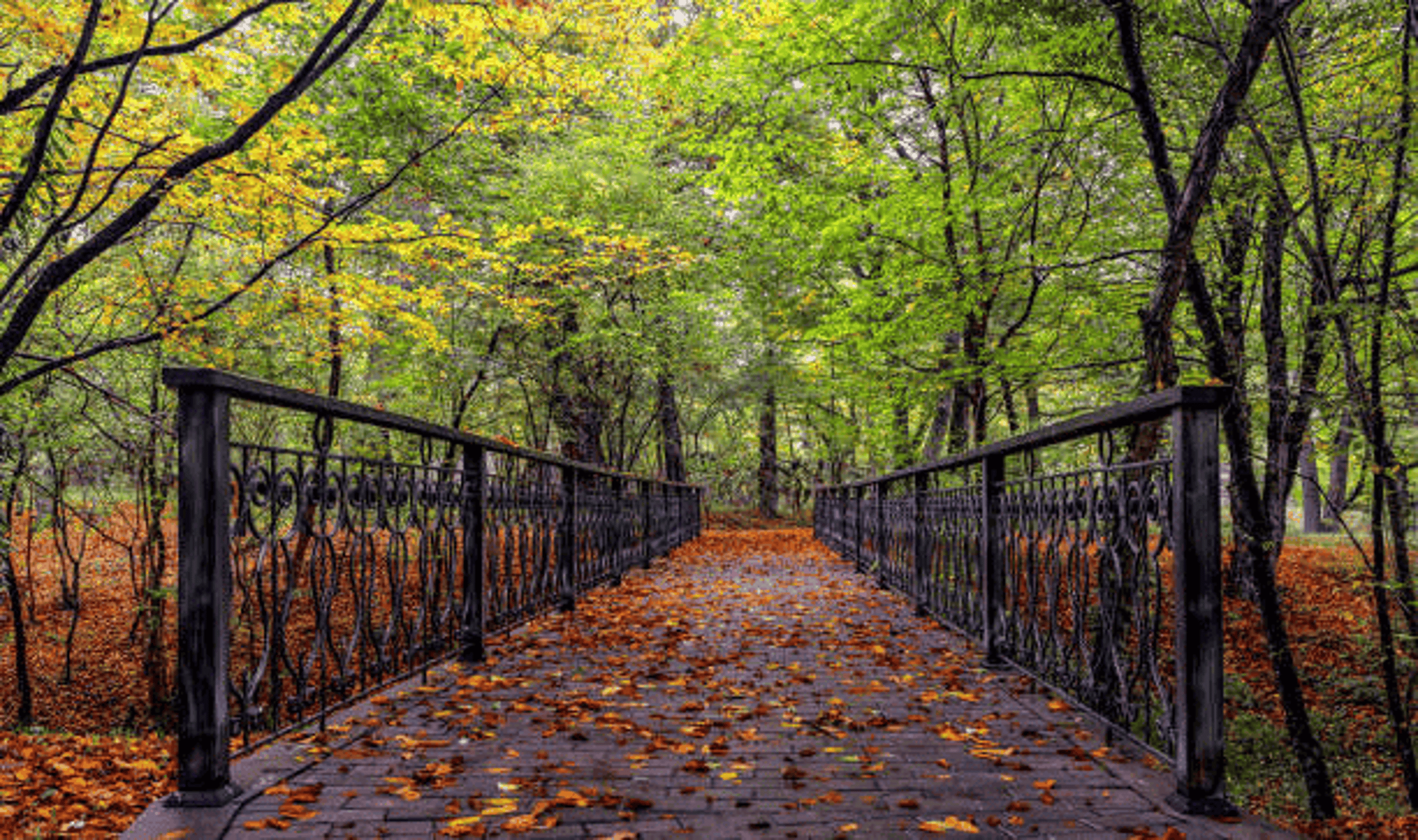 Nabran: Azerbaijan's Summer Haven